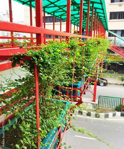 Vegetation on city foot over bridge
