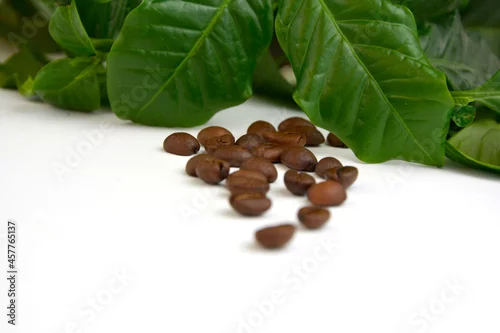 Panel kuchenny z motywem coffee beans, ziarna kawy