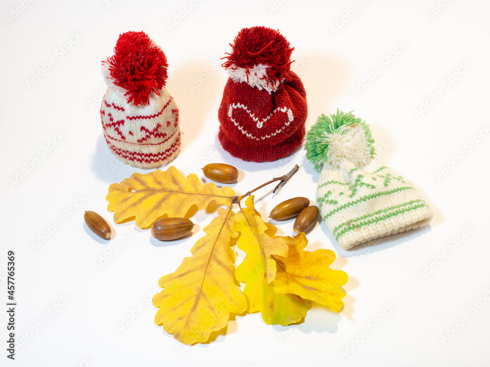 Small knitted hats, acorns and oak leaves on a white background