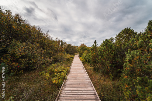 Pathway leading to the famous Tylosand beach on the Swedish west coast. High resolution photo.