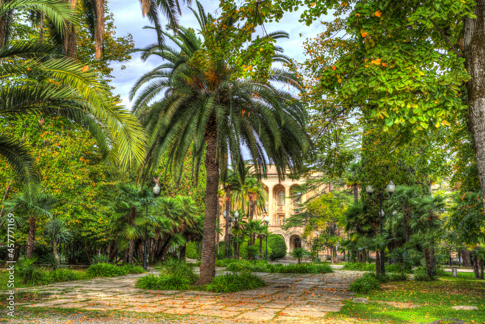 Palm tree on the background of the government house in the park of Sukhumi. Abkhazia