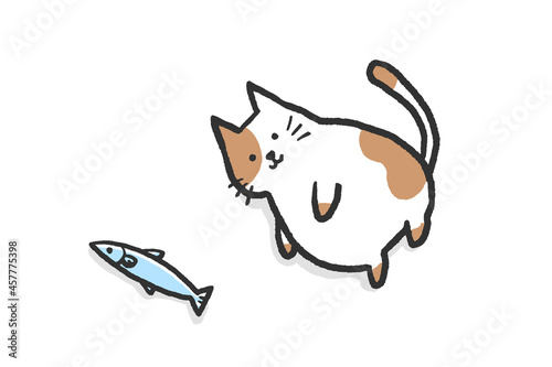 太った猫