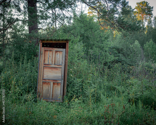 Wooden rural toilet in a forest colored