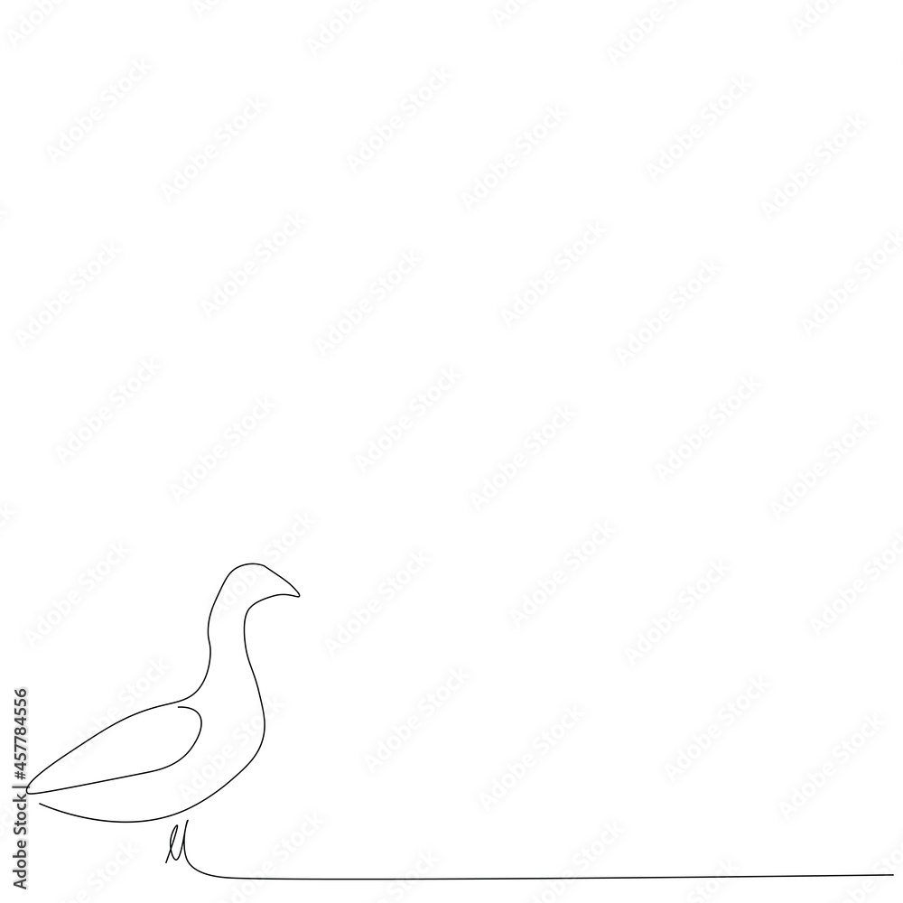 Fototapeta premium Goose bird animal line drawing vector illustration