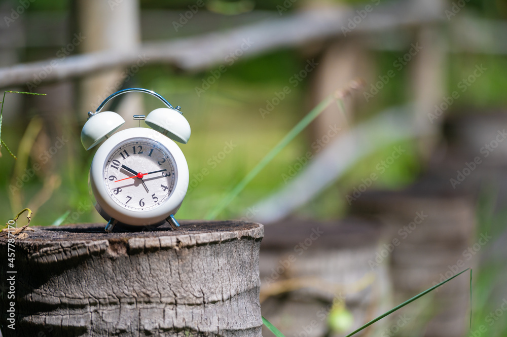 Naklejka premium clock on the grass