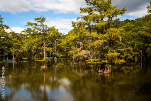 Beautiful view in sunny summer day at the famous Caddo Lake State Park, Taxes, USA