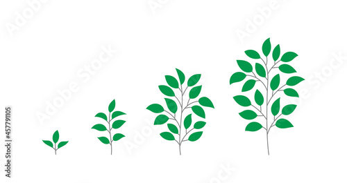 Tree growth stages. Seedling development stage. Animation progression. Business cycle development infographic. Open paths. Tree life process.