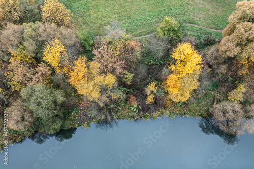 aerial top view of blue lake and colorful trees ashore in cloudy autumn day. drone photography.