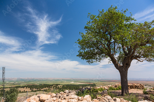 トルコ シャンルウルファ近郊にある世界遺産のギョベクリ・テペ遺跡の丘から見える風景