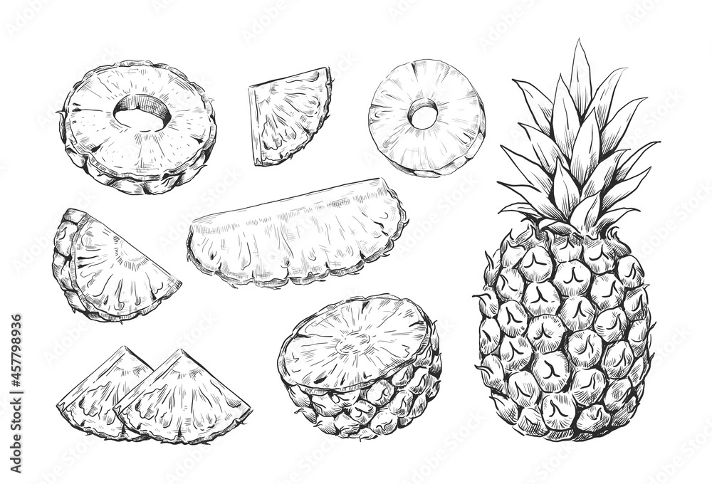 Hand drawn pineapple. Exotic ananas pieces and slices. Tropical plant fruit sketches set. Nature sweet dessert template. Botanical summer meal elements. Vector juicy vegetarian food - obrazy, fototapety, plakaty 