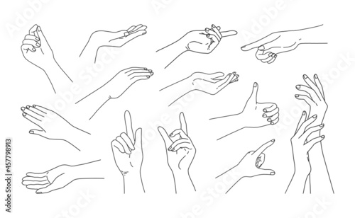 Doodle woman arms. Hand drawn minimalistic female limbs for beauty fashion and social media posts. Palm or fingers gestures set. Outline girl body parts. Vector give and point gesturing