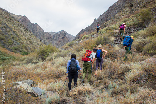 Group of young hikers walking in the slightly grassy mountains. Boguty mountains, Kazakhstan