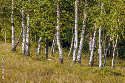 a senior man walks through a birch forest