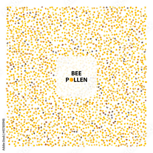 Bee Pollen, Perga, Flower Pollen Grains or Bee Bread
