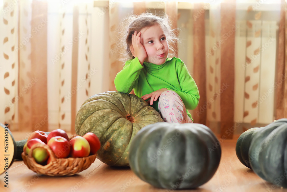 Fototapeta premium Little child choose a pumpkin at autumn. Child sitting on giant pumpkin. Pumpkin is traditional vegetable used on American holidays - Halloween and Thanksgiving Day.