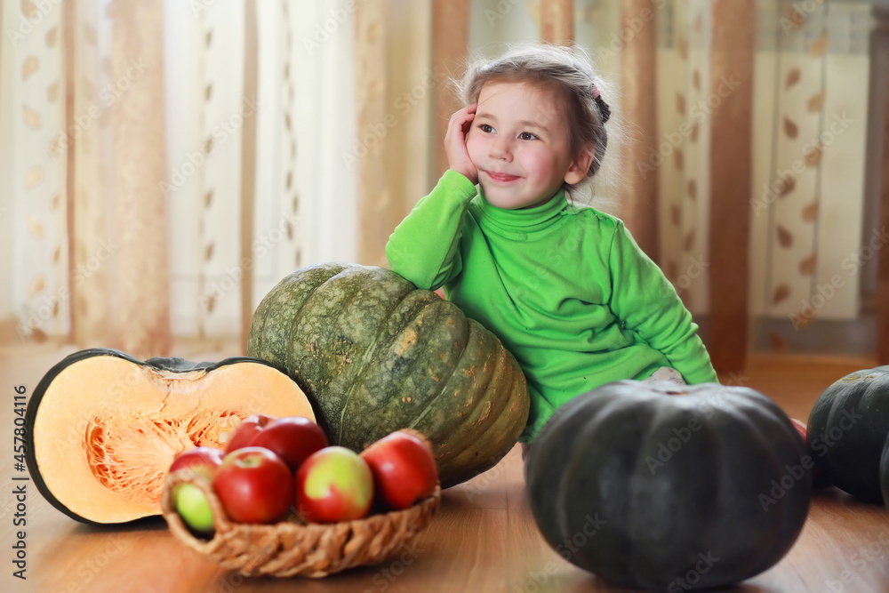 Fototapeta premium Little child choose a pumpkin at autumn. Child sitting on giant pumpkin. Pumpkin is traditional vegetable used on American holidays - Halloween and Thanksgiving Day.