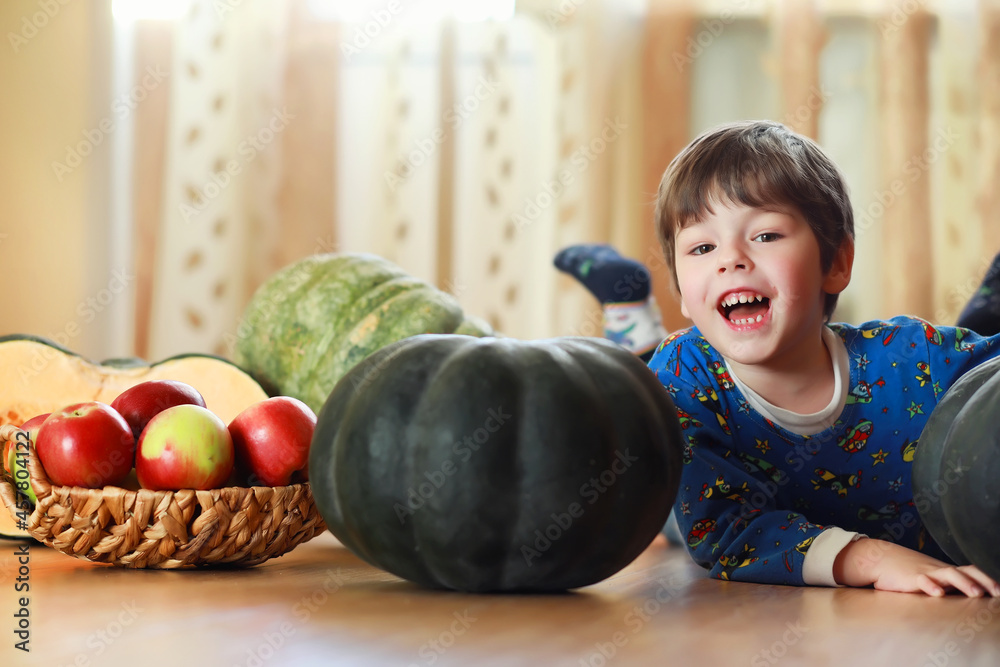 Fototapeta premium Little child choose a pumpkin at autumn. Child sitting on giant pumpkin. Pumpkin is traditional vegetable used on American holidays - Halloween and Thanksgiving Day.