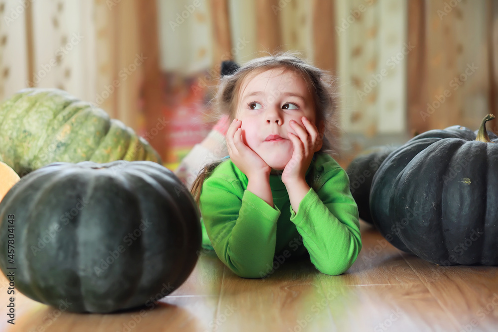 Fototapeta premium Little child choose a pumpkin at autumn. Child sitting on giant pumpkin. Pumpkin is traditional vegetable used on American holidays - Halloween and Thanksgiving Day.