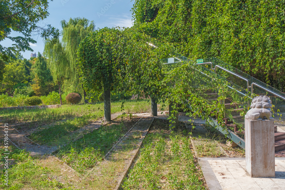 Hubei Wuhan Garden Expo Park summer scenery, China Hubei Wuhan Garden Expo Park summer scenery, China