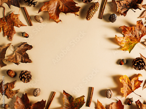 Frame of dry autumn maple leaves, cinnamon sticks, acorns, and pine cones on pastel beige background. Creative fall concept. Minimal natural border with copy space for text. Flat lay.