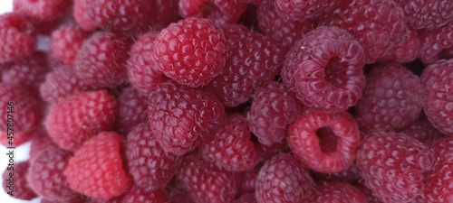 Garden large raspberries of a dark saturated color close up