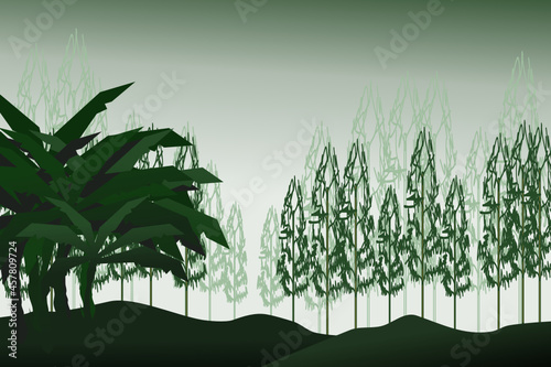 Forest background, nature, landscape. Evergreen coniferous trees. spruce, christmas tree. Silhouette vector
