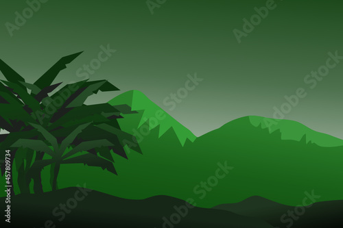Forest background, nature, landscape. Evergreen coniferous trees. spruce, christmas tree. Silhouette vector
