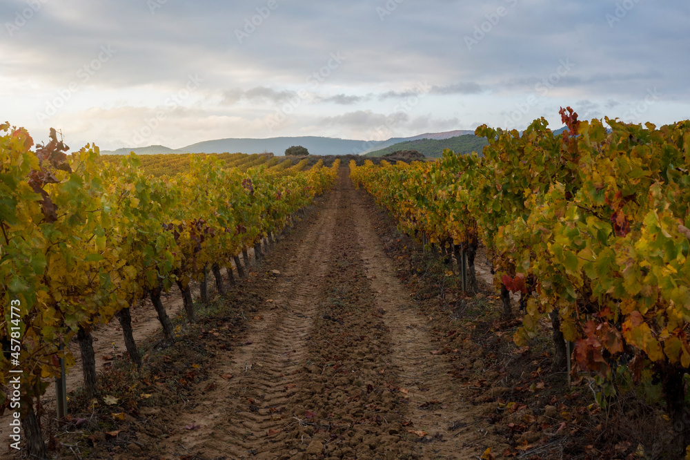 Naklejka premium sunset landscape campe