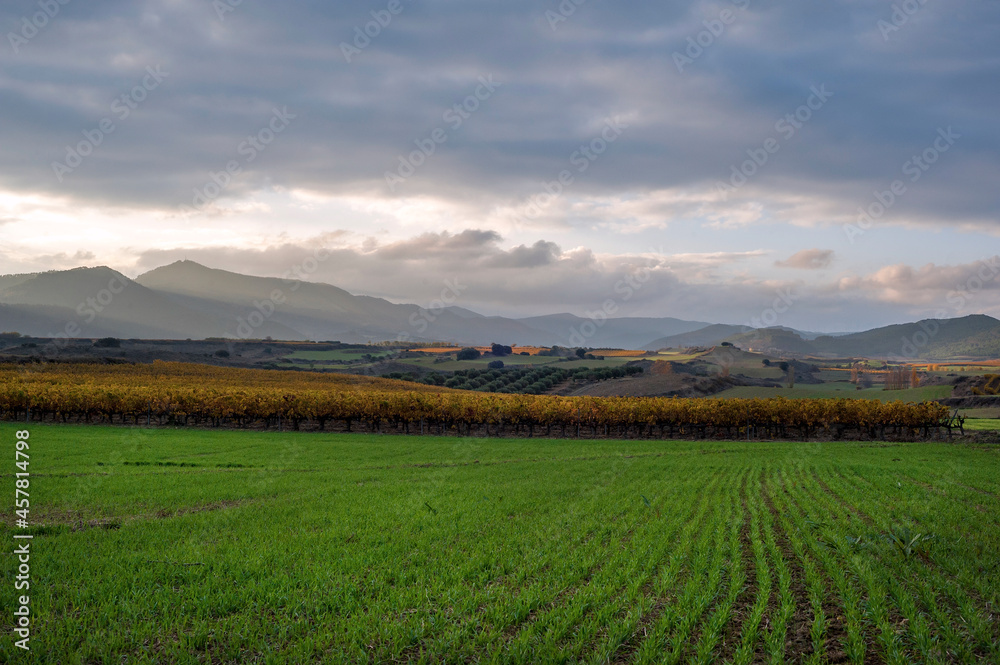 sunset landscape campe