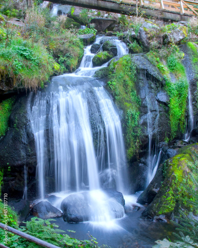 waterfall in the forest