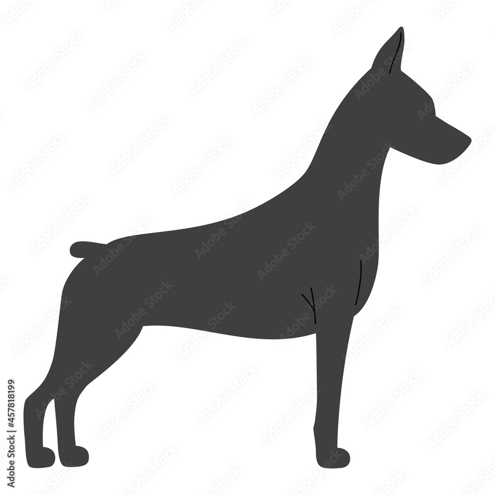 Doberman dog breed silhouette. Doberman pinscher. Vector hand drawn flat illustration