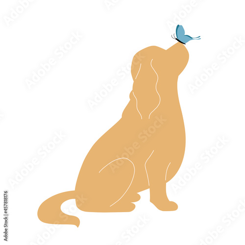 Cavalier King Charles Spaniel dog breed silhouette. Vector hand drawn flat illustration