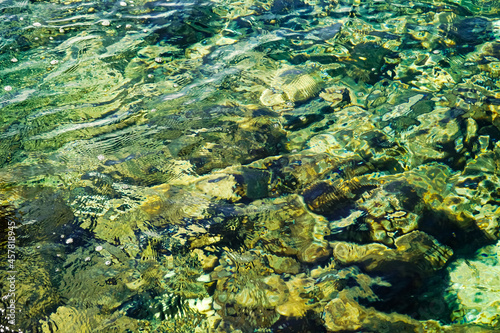 Rib on clear sea water, rocky seabed, Adriatic sea 