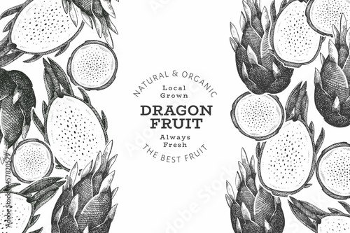 Hand drawn dragon fruit design template. Organic fresh food vector illustration. Retro pitaya fruit banner.