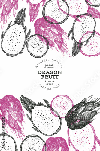 Hand drawn dragon fruit design template. Organic fresh food vector illustration. Retro pitaya fruit banner.
