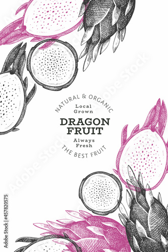 Hand drawn dragon fruit design template. Organic fresh food vector illustration. Retro pitaya fruit banner.