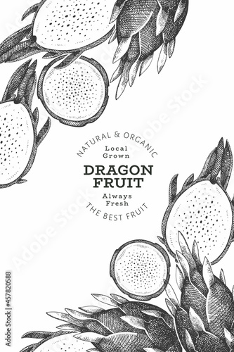 Hand drawn dragon fruit design template. Organic fresh food vector illustration. Retro pitaya fruit banner.