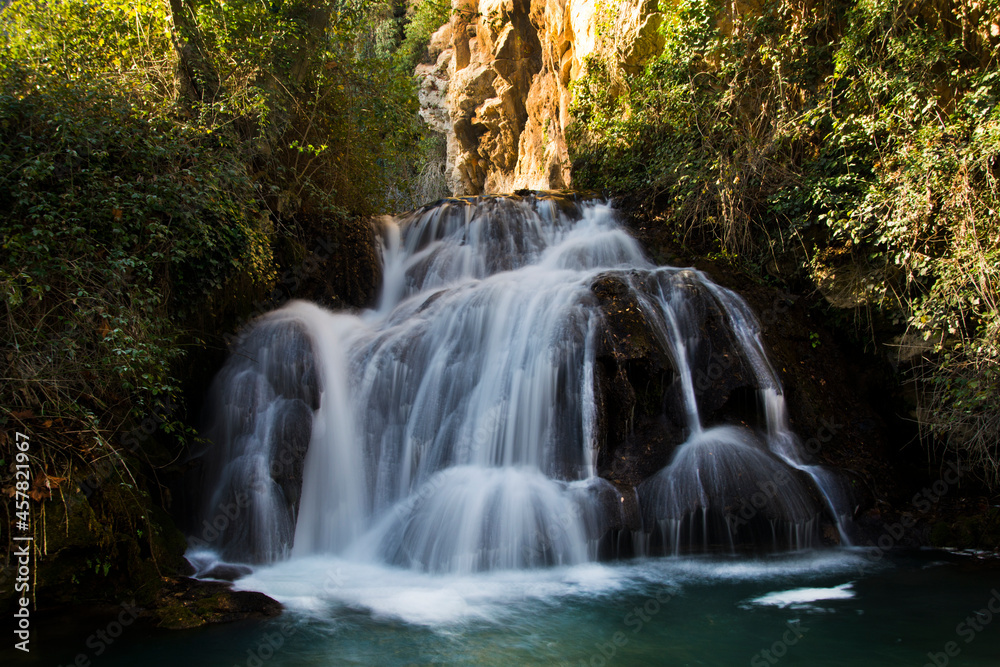 Obraz premium waterfall in the woods