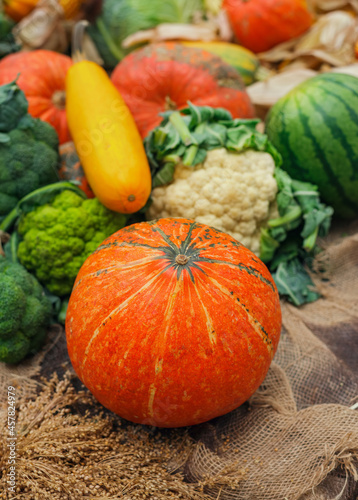 orange pumpkin on the background of different vegetables