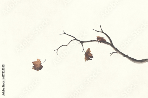 Fotografie, Obraz illustration of leaves falling in autumn, abstract concept