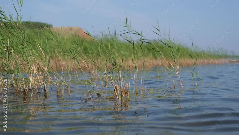 Beautiful lake bank in sunny sumer day Beautiful lake bank in sunny sumer day