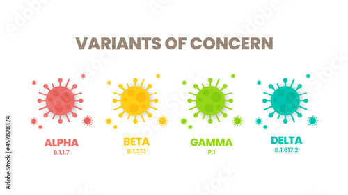 Illustrator vector of the COVID-19 virus's new Variants of Concern (VOC). A “variant” is mutated version of the original virus. Colorful infographic of the variations : Alpha, Beta, Gamma and Delta.