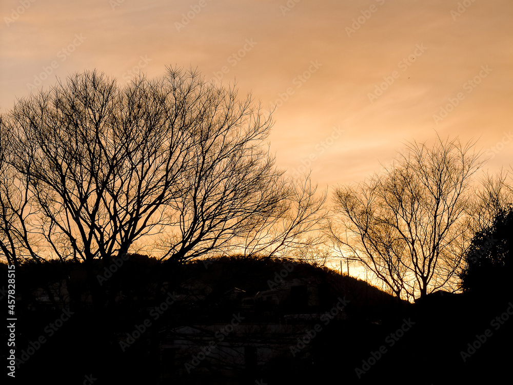 Fototapeta premium 冬の夕暮れ