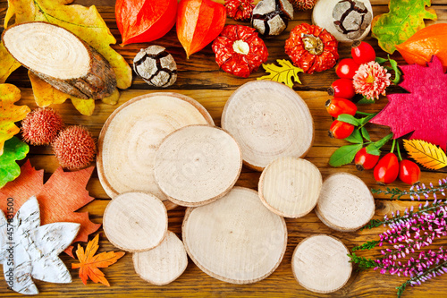 Bunte Dekoration im Herbst mit Blumen und Pflanzen auf Holz