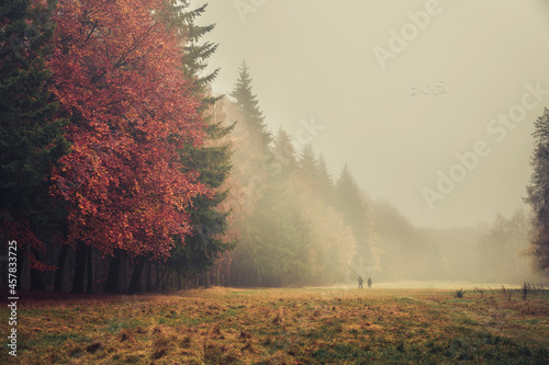 Templeton Woods Dundee Scotland