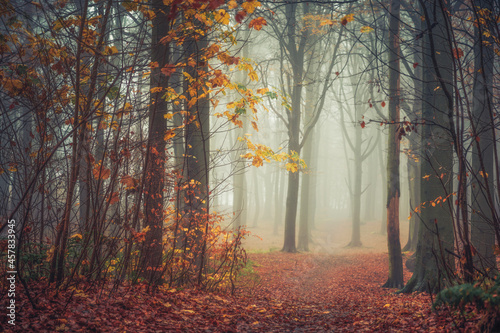 Templeton Woods Dundee Scotland