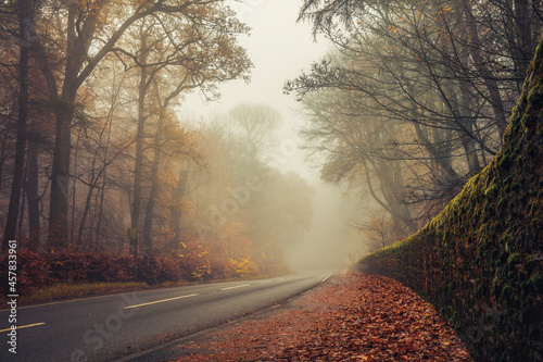 Templeton Woods Dundee Scotland