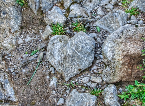 Naturliebe Steinherz