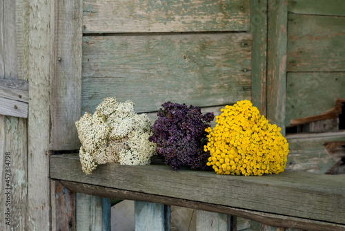Yarrow, marjoram and tansy dry on a rope in the garden near the old wooden fance
