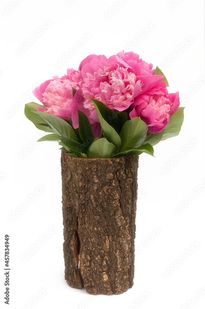 Bouquet of pink peonies isolated on the white background in wooden vase